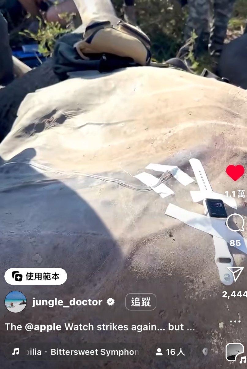 澳洲的一名獸醫 Chloe Buiting 在 @jungle_doctor 上發佈了一條影片,影片中 Chloe 分別將 Apple Watch 放在獅子的舌頭上,及大象的身上,以量度牠們的心率。