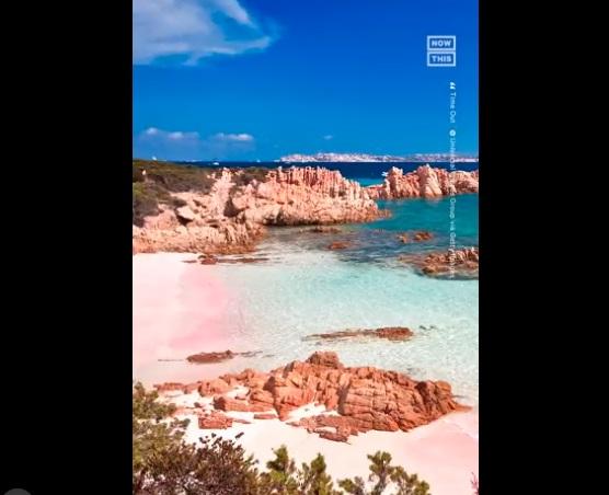 社交網上有介紹「粉紅沙灘」的影片。(互聯網)