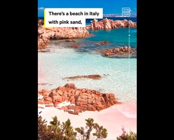 社交網上有介紹「粉紅沙灘」的影片。(互聯網)