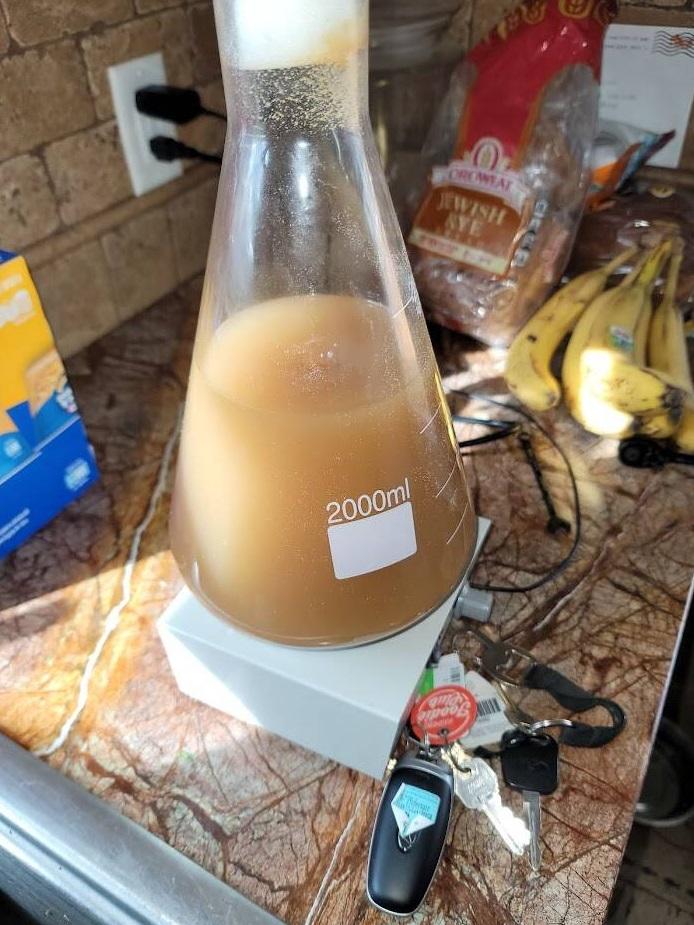 麥克唐奈以稀有無花果品種和公元前850年的酵母菌株,依照流傳下來的古埃及配方製造出古代啤酒。(互聯網)