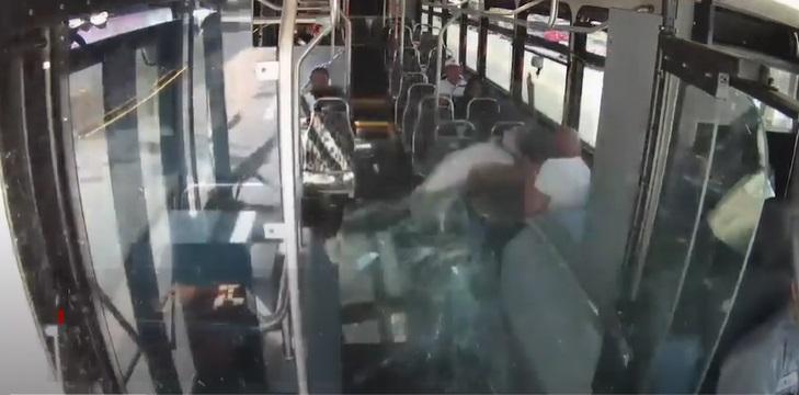 野鹿突然撞入車廂。(互聯網)