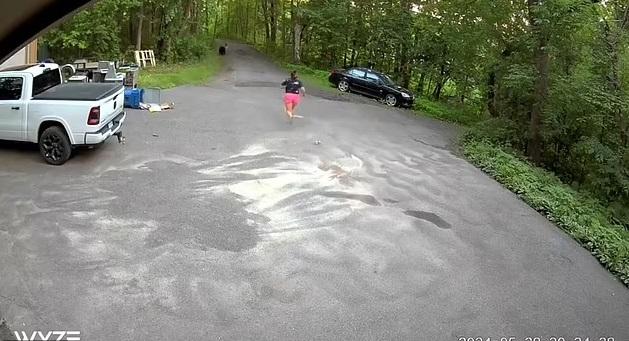 野熊與狗狗跑進森林,雅各布森拼命追上去。(互聯網)