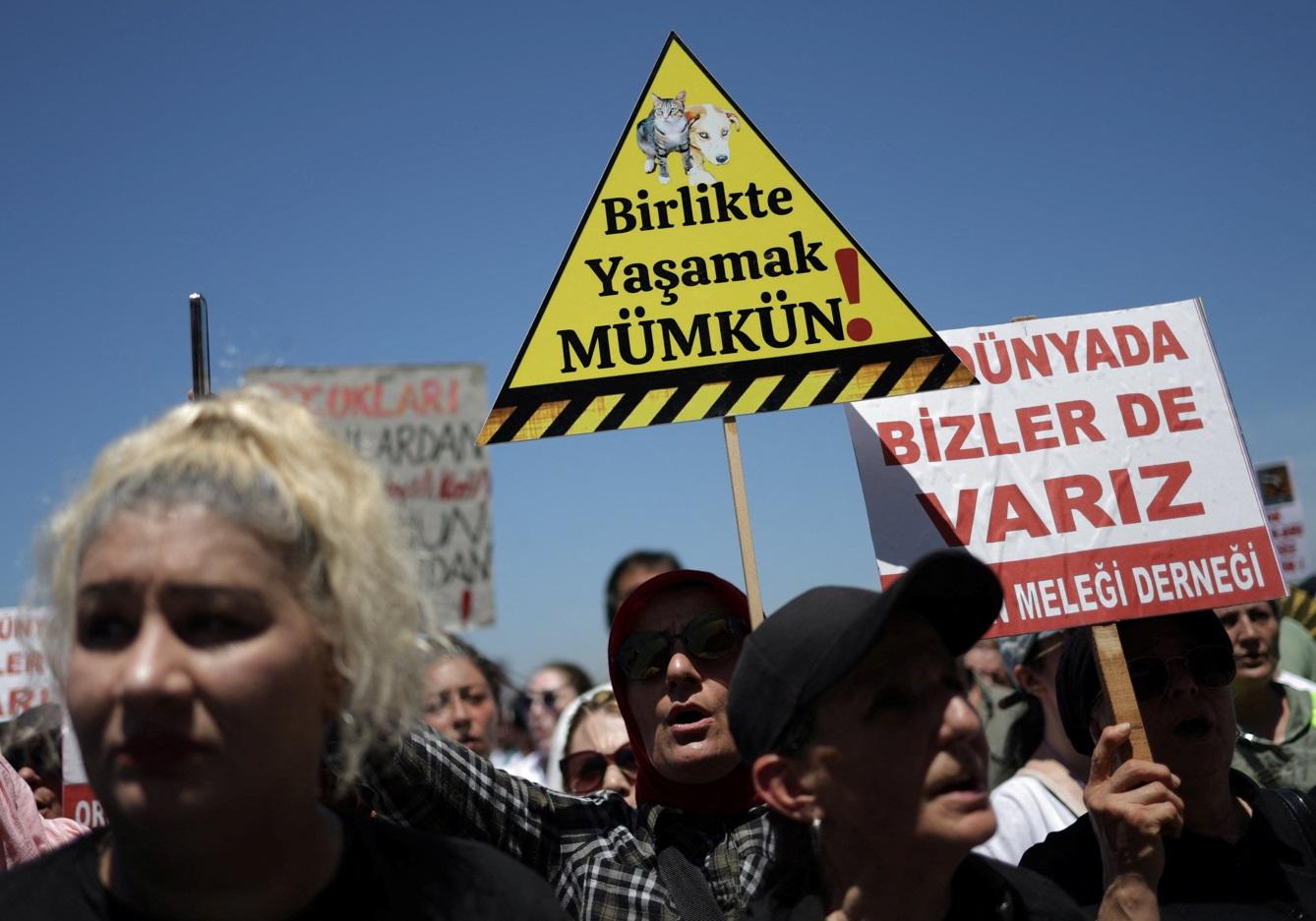 伊斯坦堡民眾周日上街抗議。(路透社)