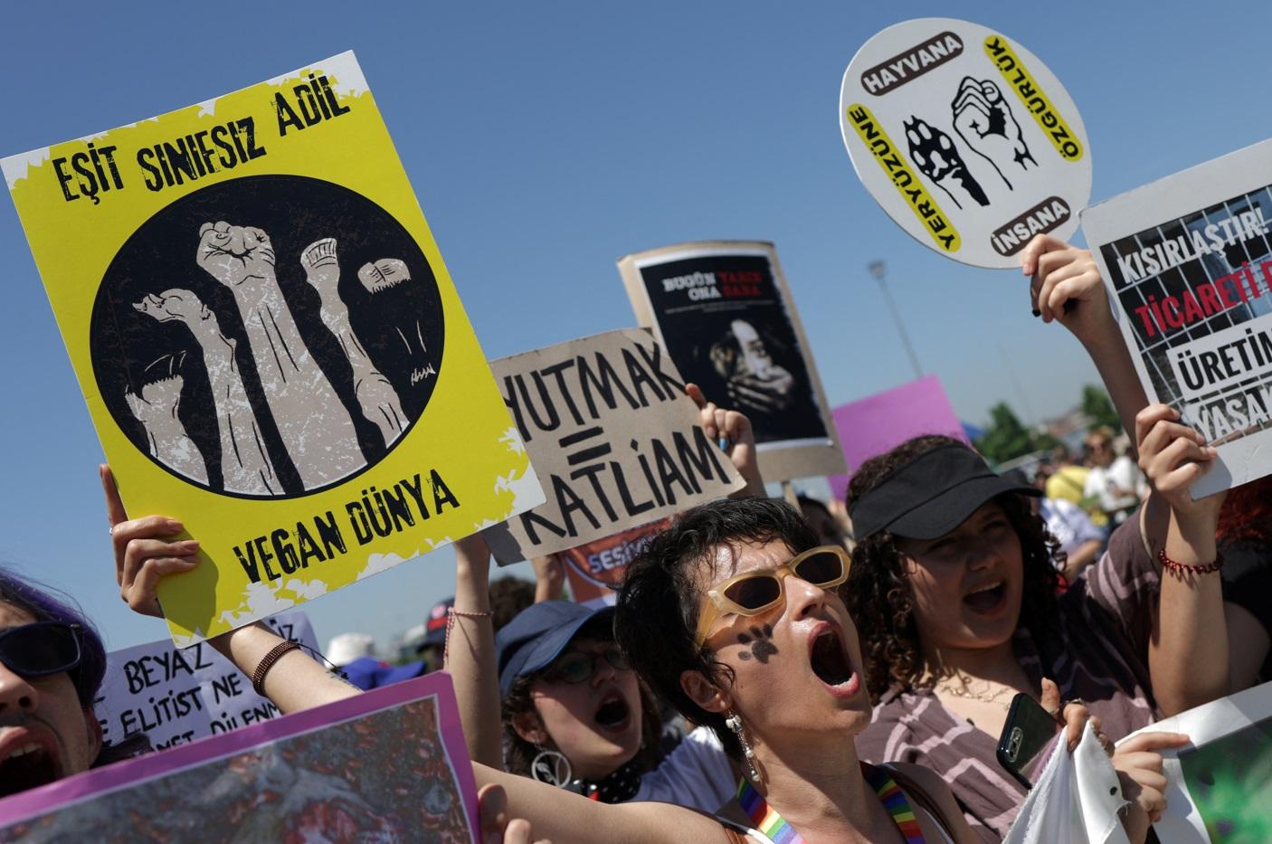 伊斯坦堡民眾周日上街抗議。(路透社)