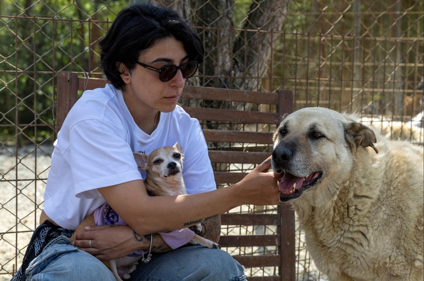 動保人士Bengisu Komurcu在伊斯坦堡開設收容所,收留逾300隻流浪狗。(路透社)