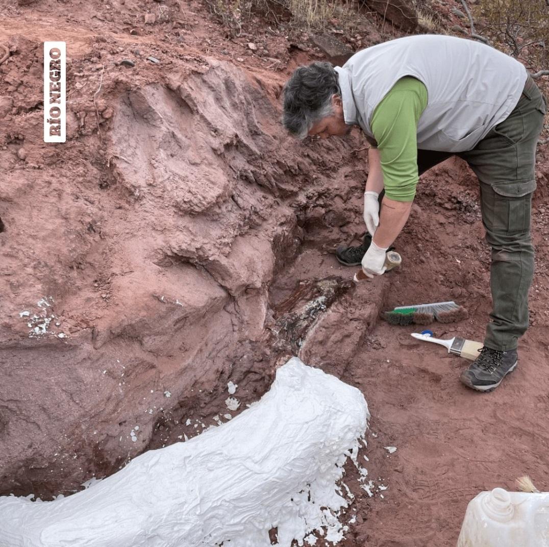 古生物學家在現場挖掘。(互聯網)