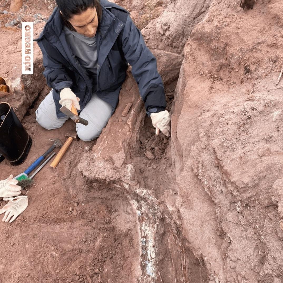 古生物學家在現場挖掘。(互聯網)