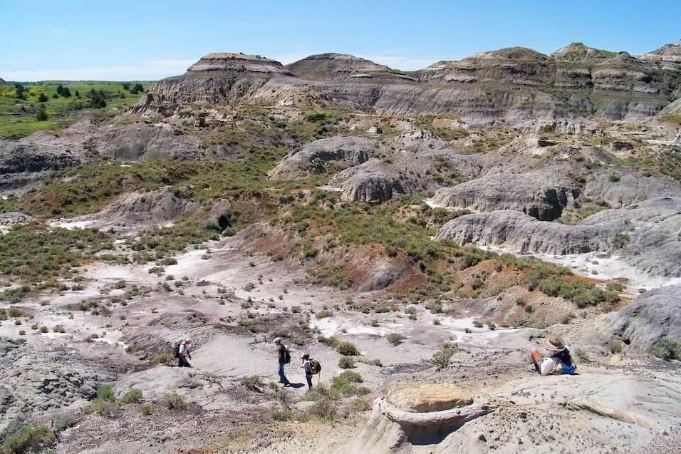 美國北達科他州發現年幼暴龍化石現場。(互聯網)