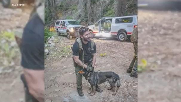 搜救犬出動。(互聯網)