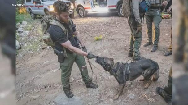 搜救犬出動。(互聯網)