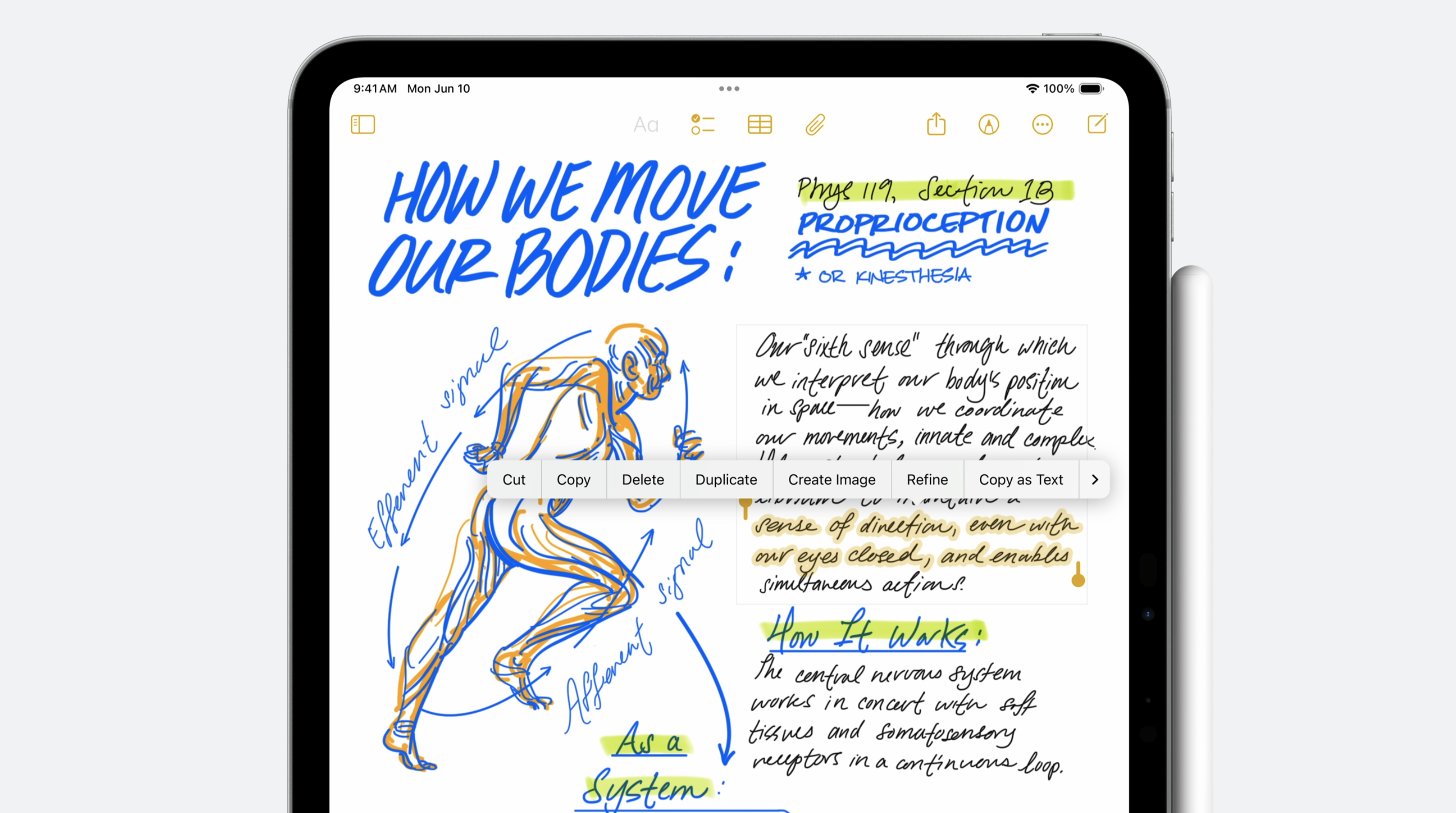 WWDC24|手寫備忘錄使用流暢靈活,亦能即時美化及統一字體。