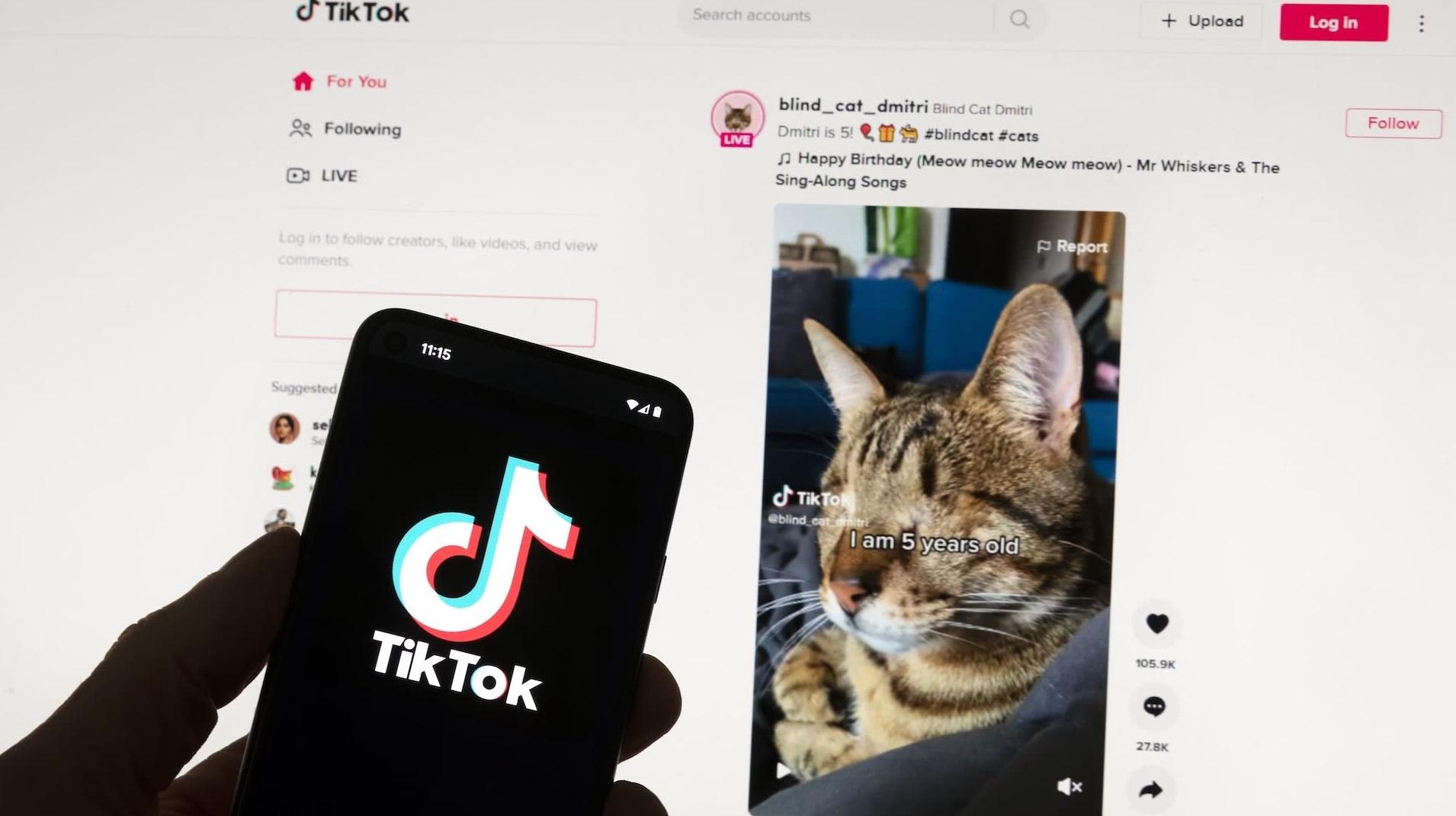 網紅的謀生平台TikTok在美國面臨營運危機。(資料圖片)