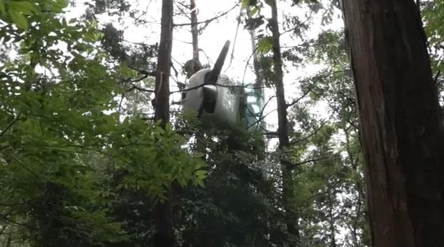 小型飛機掛在樹上。(互聯網)