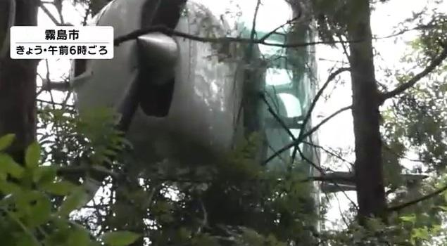 小型飛機掛在樹上。(互聯網)