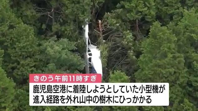 小型飛機撞進機場附近的樹林,擱在樹上。(互聯網)