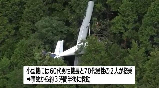 小型飛機掛在樹上多時。(互聯網)