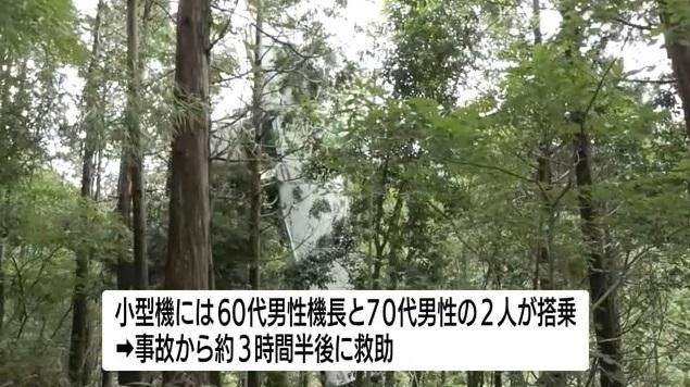 小型飛機掛在樹上多時。(互聯網)