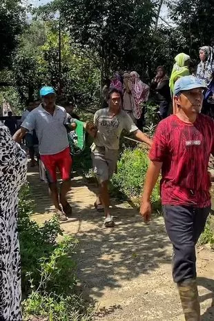 村民抬走巨蟒。(互聯網)