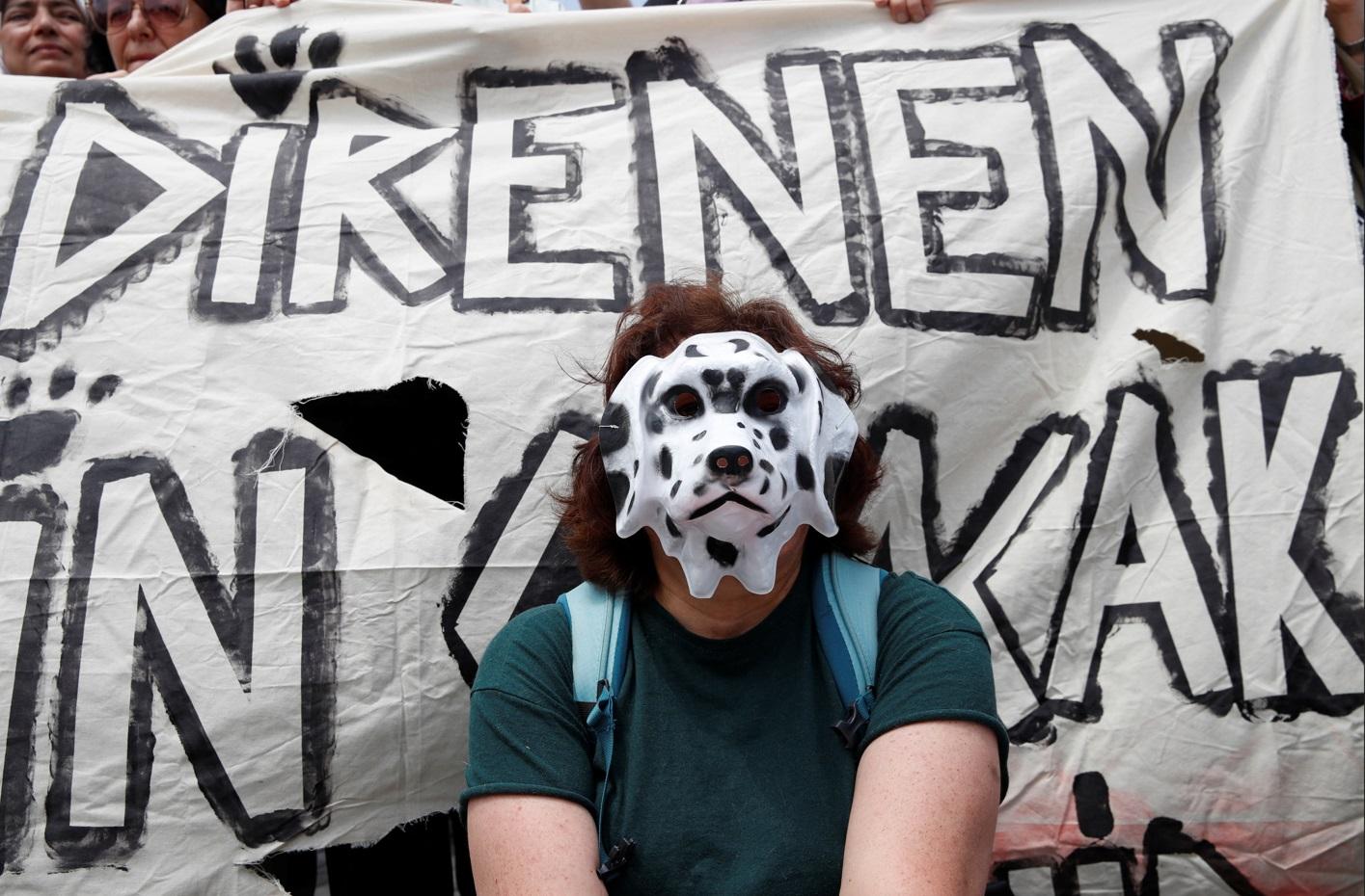 動保組織早前在伊斯坦堡街頭抗議。(路透社)