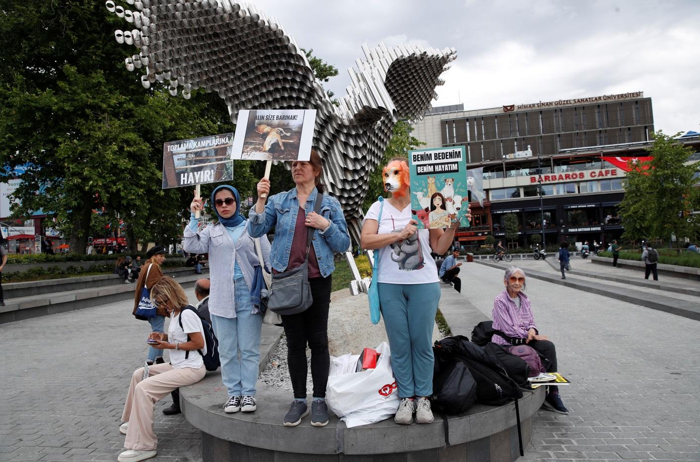 動保組織早前在伊斯坦堡街頭抗議。(路透社)