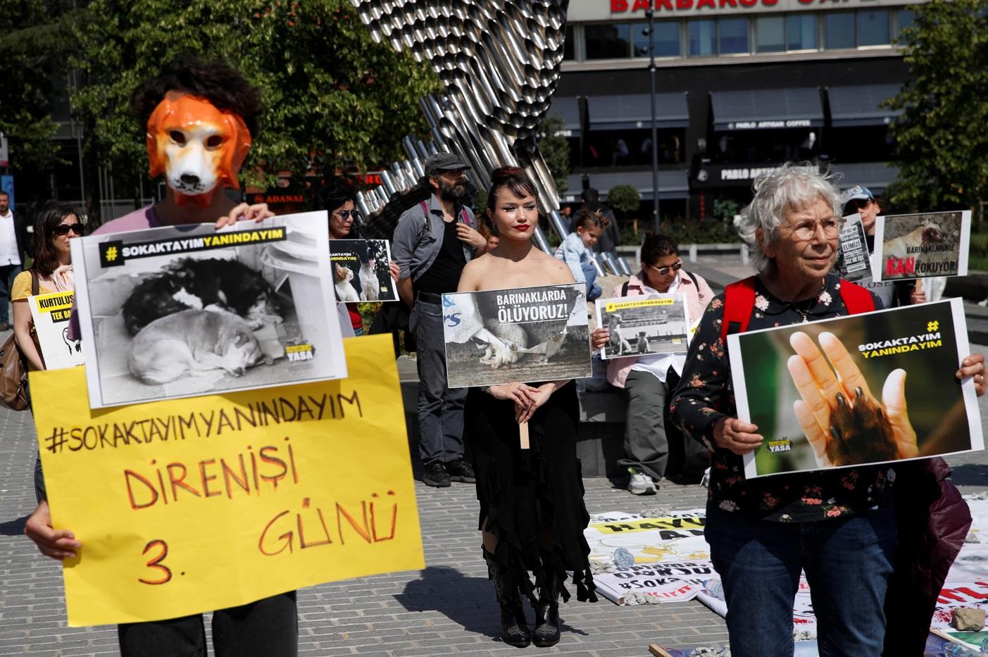 動保組織早前在伊斯坦堡街頭抗議。(路透社)
