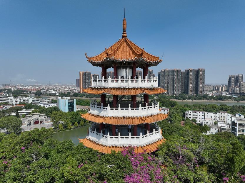中山小欖鎮龍山公園是中山的旅遊名勝之一,圖為公園內著名的騰龍閣。(圖片來源:視覺中國)