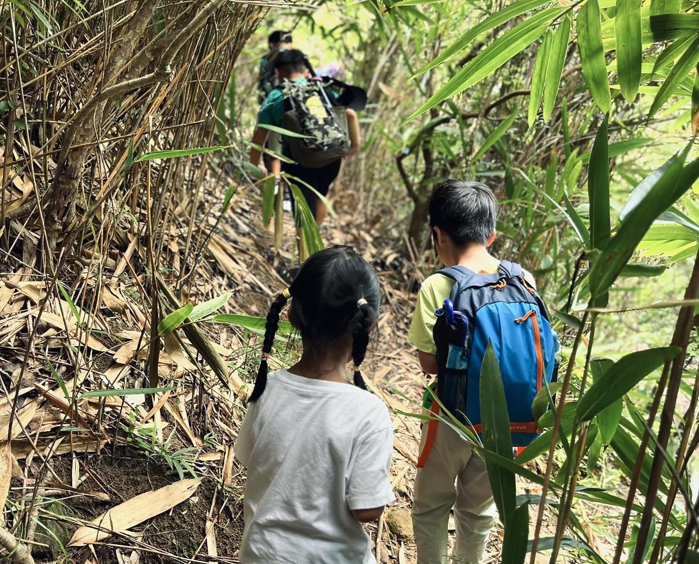 暑假親子野外訓練|山樂「童遊山野探險隊」