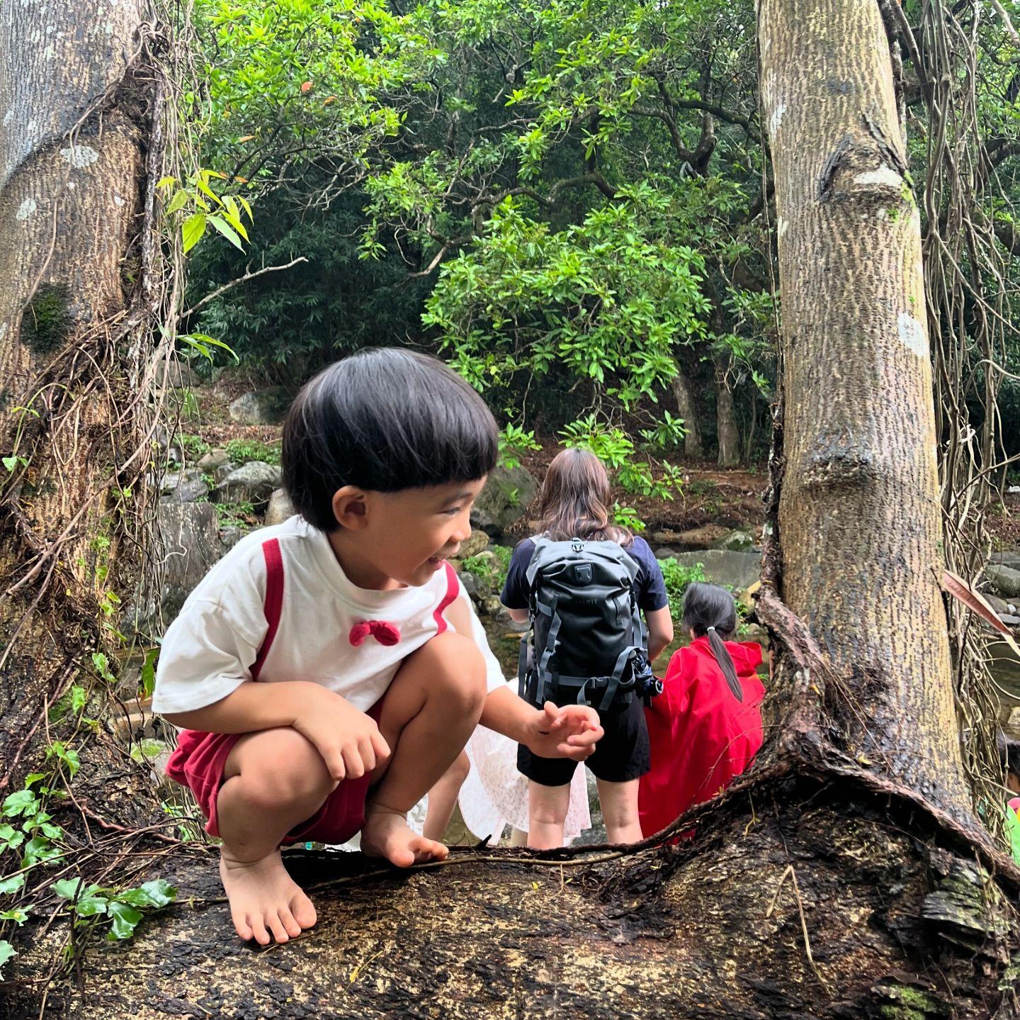 暑假親子野外訓練|自然脈絡「消暑親子溪澗遊」