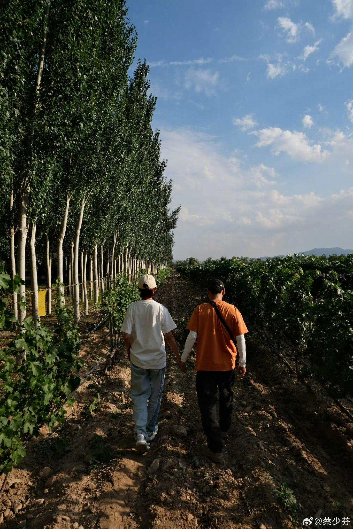 日前,兩公婆撇甩仔女到寧波旅行。