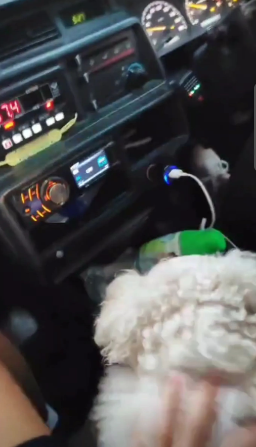 有人發布此前坐的士前座抱狗的照片,稱司機准許他坐前面抱住佢。(Threads)