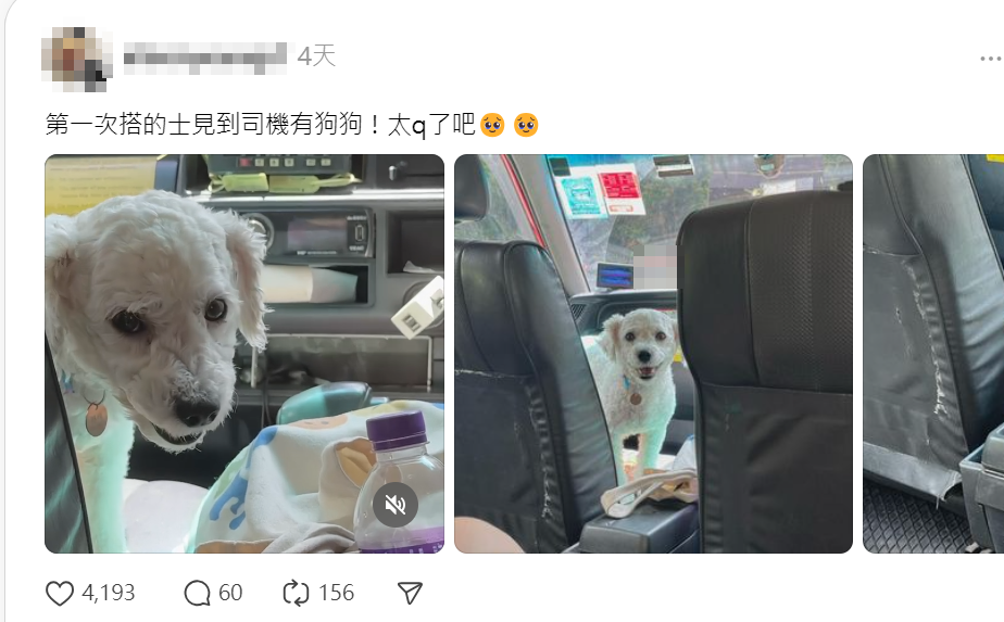 有網民近日坐的士時,驚喜發現女司機帶同愛犬開工,更安排牠坐前座座位,樓主大讚非常可愛。(Threads)