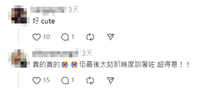 網上熱話|女的士司機帶愛犬坐前座陪開工 網民:好想坐佢車(Threads)