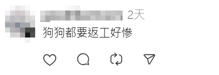 網上熱話|女的士司機帶愛犬坐前座陪開工 網民:好想坐佢車(Threads)