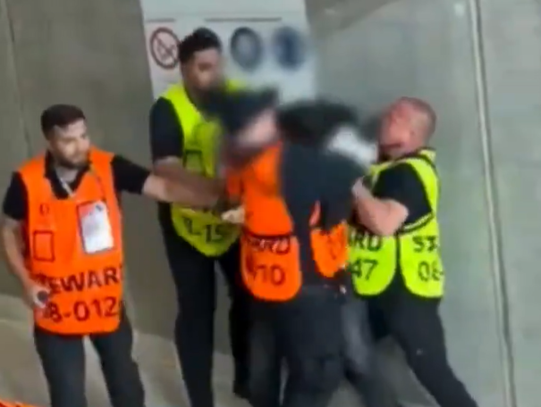 兩名闖入場內球迷被多名穿保安反光衣的人員拳打腳踢。(影片截圖)