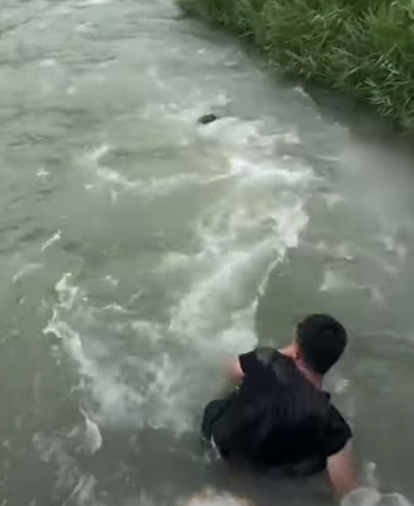 河北保定一名男孩於河邊滑倒被激流捲走,橋上一名大叔奮不顧身跳入水中,以「攔網式」將男孩救起。(影片截圖)