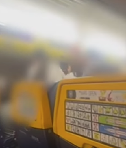 飛機飛行36分鐘後被迫降落