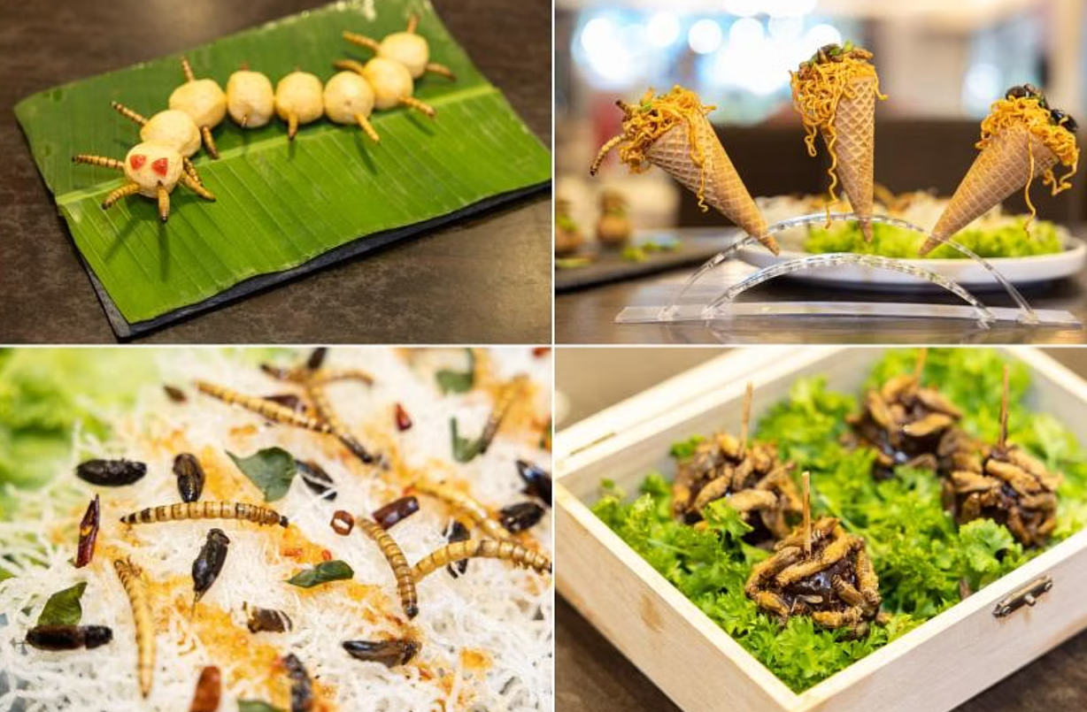 有餐廳已製作包含昆蟲菜餚的菜單。(網上圖片)