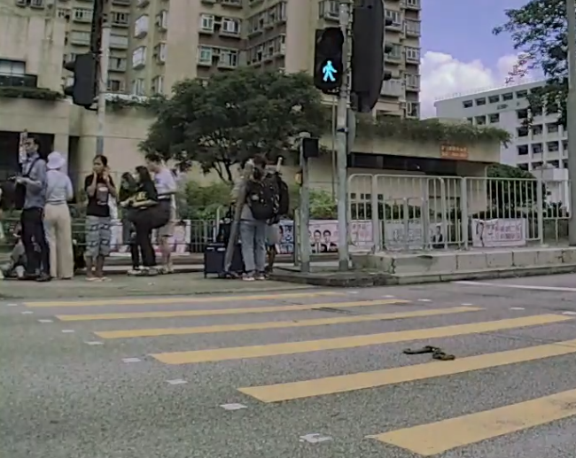 此時燈位安全島上有男途人見狀即閃身避開,亦有人受傷倒地,附近人士即協助(車cam L(香港群組))