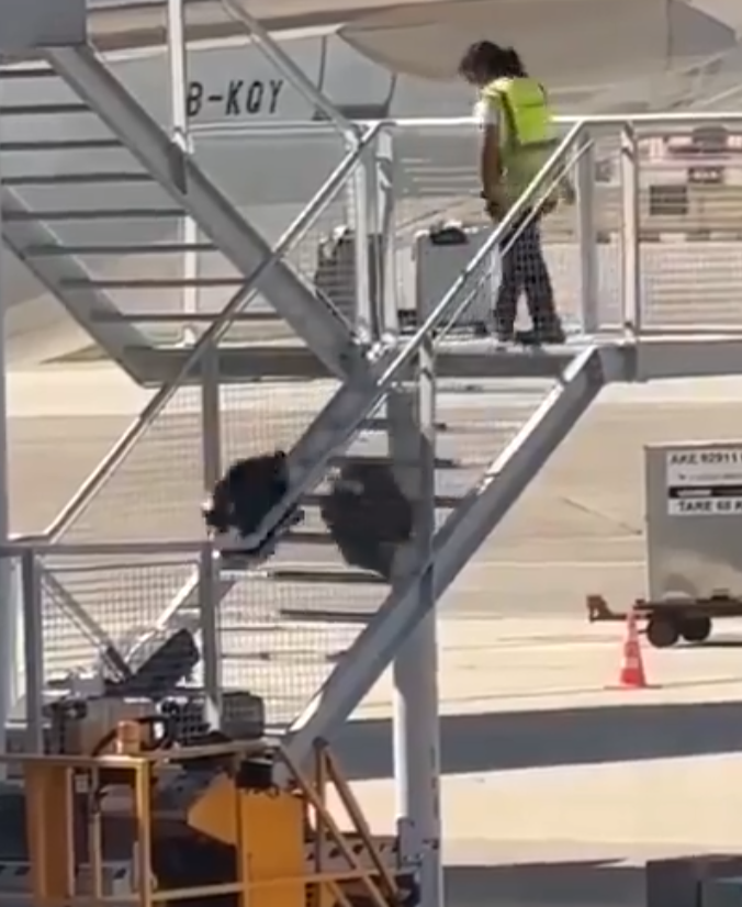 有影片顯示國泰航空的一名員工在機場多次從樓梯上把行李箱扔下(影片截圖)