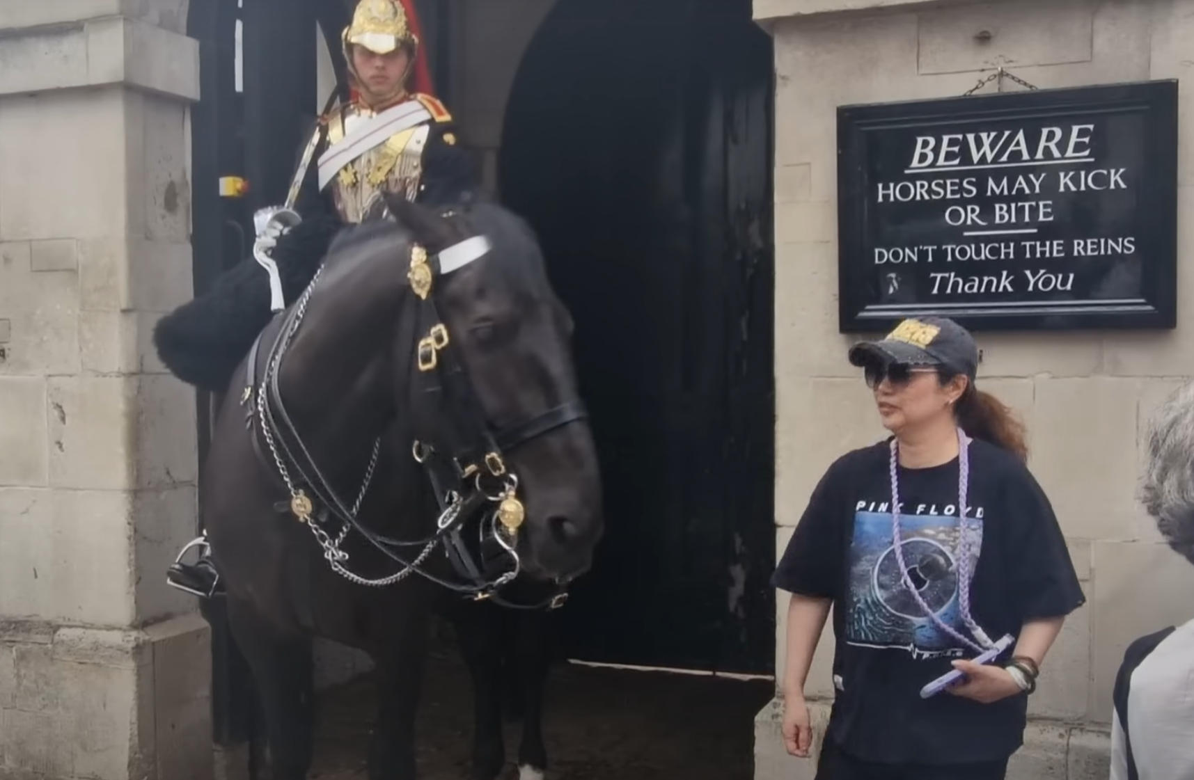 事發地點騎兵衞隊博物館為旅遊景點,大批旅客輪流與馬匹合照,附近張貼了警告標語,表示馬匹會踢人或咬人,並明確要求他們不要碰韁繩。(影片截圖)