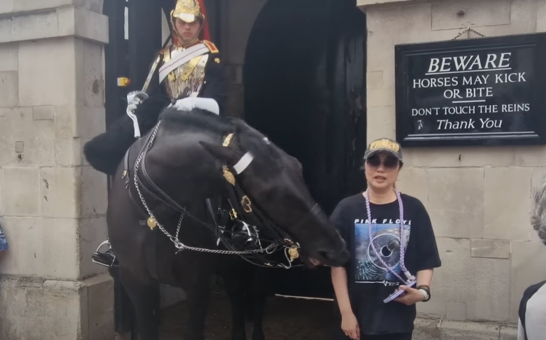 一名穿黑色T恤及戴鴨舌帽的亞裔女遊客走近馬兒準備合照時,突被牠咬了右手手臂一下。(影片截圖)