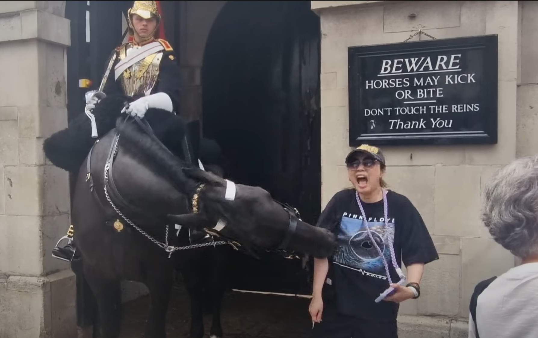 一名穿黑色T恤及戴鴨舌帽的亞裔女遊客走近馬兒準備合照時,突被牠咬了右手手臂一下。(影片截圖)