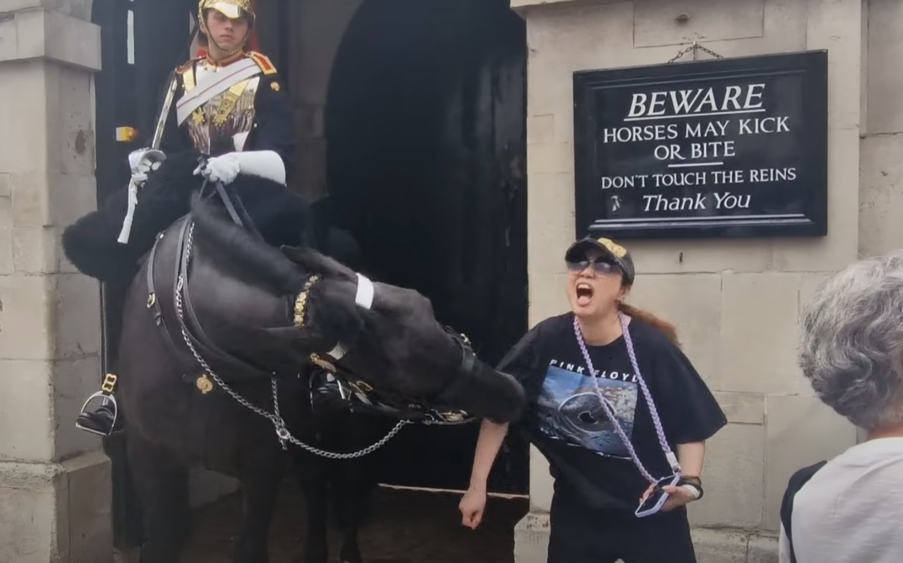 一名穿黑色T恤及戴鴨舌帽的亞裔女遊客走近馬兒準備合照時,突被牠咬了右手手臂一下。(影片截圖)