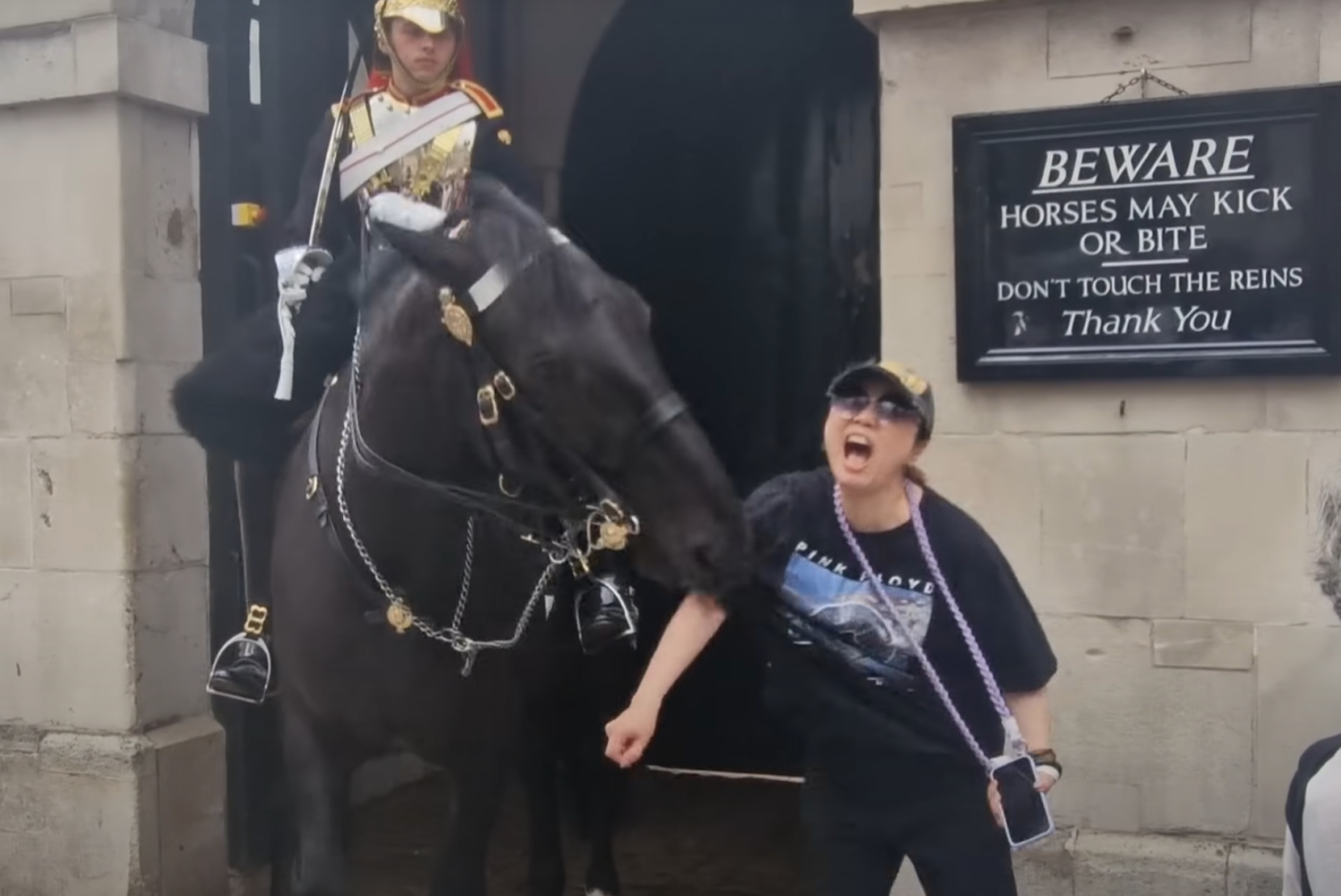 一名穿黑色T恤及戴鴨舌帽的亞裔女遊客走近馬兒準備合照時,突被牠咬了右手手臂一下。(影片截圖)