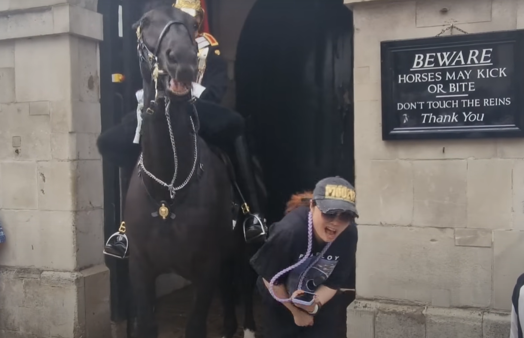 一名穿黑色T恤及戴鴨舌帽的亞裔女遊客走近馬兒準備合照時,突被牠咬了右手手臂一下。(影片截圖)