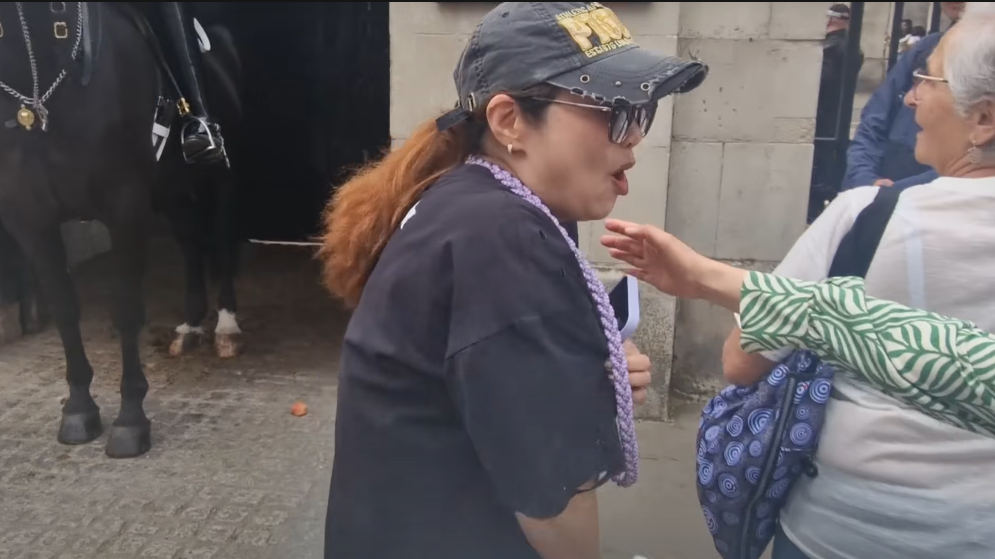 遊客高叫痛苦走開。(影片截圖)