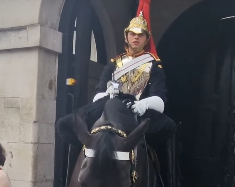 事發後衛隊騎兵促拍片者召喚警察協助受傷女子。(影片截圖)