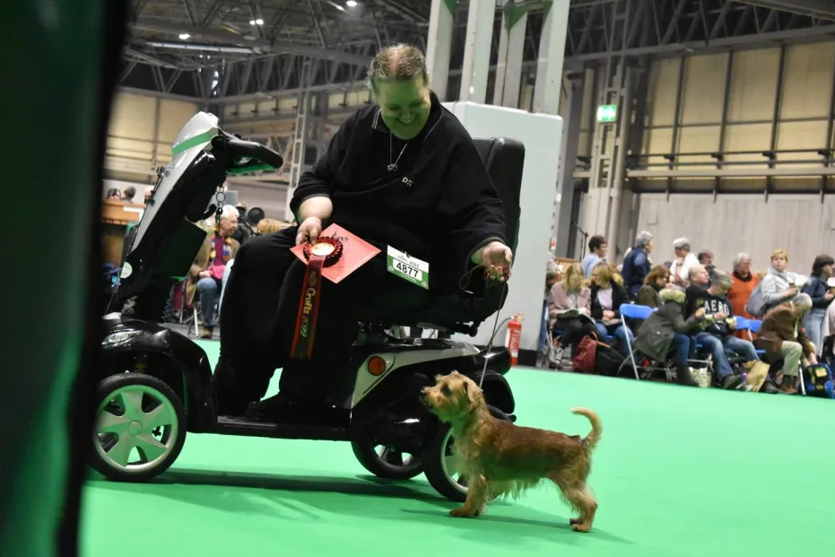 莎拉任職狗隻訓練員。(互聯網)