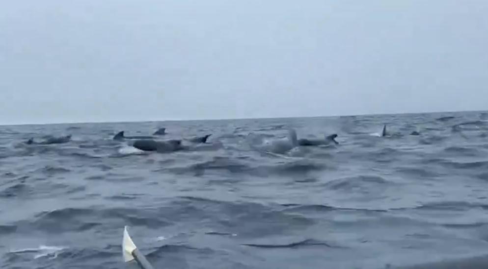 Tom坦言畫面很神奇,但同時很嚇人。(FB)