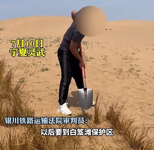 協議中約定他需要補種755棵樹,2年後會組織相關部門進行驗收評估。(微博)